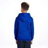 Russell Athletic Youth Dri-Power Fleece Hoodies, Moisture Wicking, Sizes S-XL(Royal)