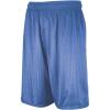 Russell Athletic Men’s 9 Inch Mesh Short(Columbia Blue)