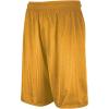 Russell Athletic Men’s 9 Inch Mesh Short(Gold)