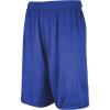 Russell Athletic Men’s 9 Inch Mesh Short(Royal)