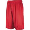 Russell Athletic Men’s 9 Inch Mesh Short(True Red)