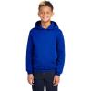Russell Athletic Youth Dri-Power Fleece Hoodies, Moisture Wicking, Sizes S-XL(Royal)