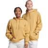 Russell Athletic mens Dri-power Fleece Hoodies, Moisture Wicking, Cotton Blend, Relaxed Fit, Sizes S-4x(Almond Pullover)