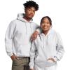 Russell Athletic mens Dri-power Fleece Hoodies, Moisture Wicking, Cotton Blend, Relaxed Fit, Sizes S-4x(Ash Pullover)