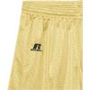 Russell Athletic Big Boys’ Youth Mesh Short(Gt Gold)