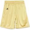 Russell Athletic Big Boys’ Youth Mesh Short(Gt Gold)