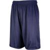Russell Athletic Big Boys’ Youth Mesh Short(Navy)