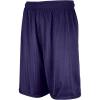 Russell Athletic Big Boys’ Youth Mesh Short(Purple)