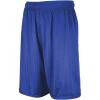 Russell Athletic Big Boys’ Youth Mesh Short(Royal)