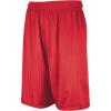 Russell Athletic Big Boys’ Youth Mesh Short(True Red)