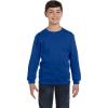 Russell Youth Dri-Power Fleece Hoodies & Sweatshirts, Moisture Wicking, Sizes S-XL(Royal)