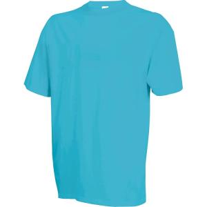 Russell Athletic Mens Basic Cotton T-Shirts(Clear Turquoise)