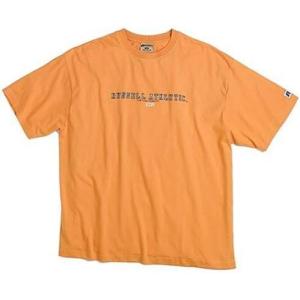 Russell Athletic Men’s Big & Tall Screen Print T-Shirt(Mustard)